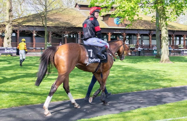 Welcoming Spacious 2-bedroom House in St Helens - Foto 32
