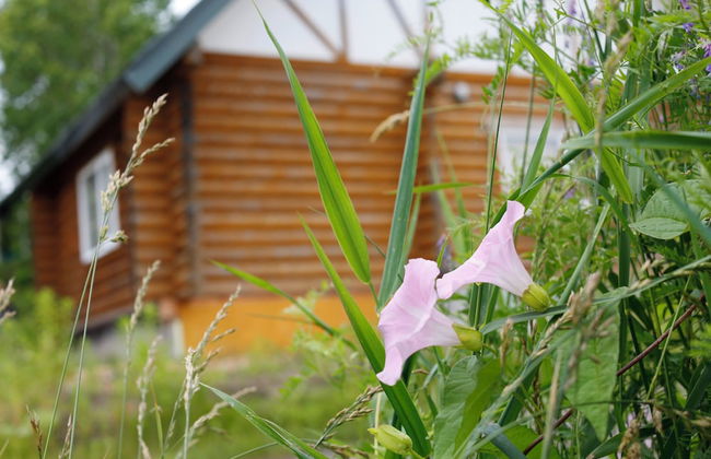 THE LODGE ABASHIRI - Foto 62