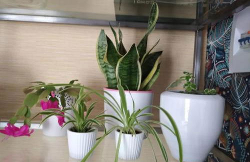 Charming House in Parada with Large Garden - Foto 59