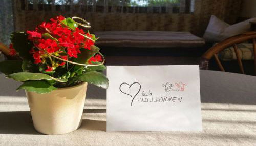 Ferienwohnungen Karle - Foto 4