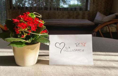 Ferienwohnungen Karle - Foto 4