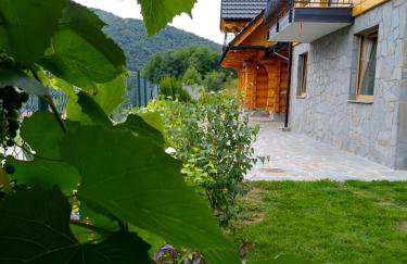 Apartamenty Na Brzegu Szczawnica - Photo 23