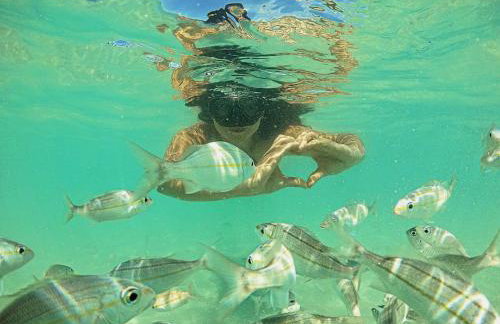 Casa Gostoso Mar - Apartamentos - Foto 77