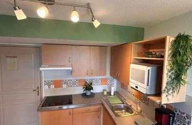 Le nid de Sitelle, appartement, piscine et sauna - Foto 35