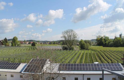 Ferienhof Schöngarten - Foto 15