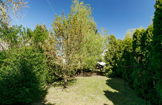 Mathias Rex - Foto 16