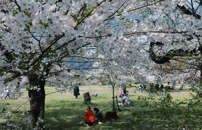 The Peony Hotel Kyoto - Foto 47