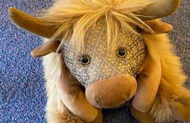 Cobbler's Cottage at Kindrochet, Strathtay - Foto 12