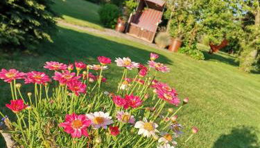 Ferienwohnung Landidyll - Foto 3, Garden