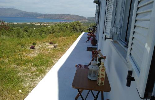 OLIVE BREEZE - Photo 31