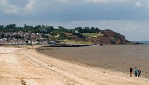 Sanity Sanctuary - Photo 5