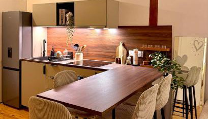 Appartement Jazz - Hyper Centre Vienne - Garage - Foto 3