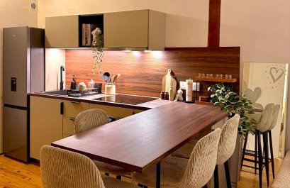 Appartement Jazz - Hyper Centre Vienne - Garage - Foto 3