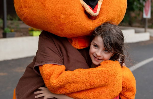 VVF Montagnac Hérault - Foto 47