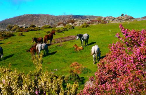 Casa Sebastiana - Foto 53