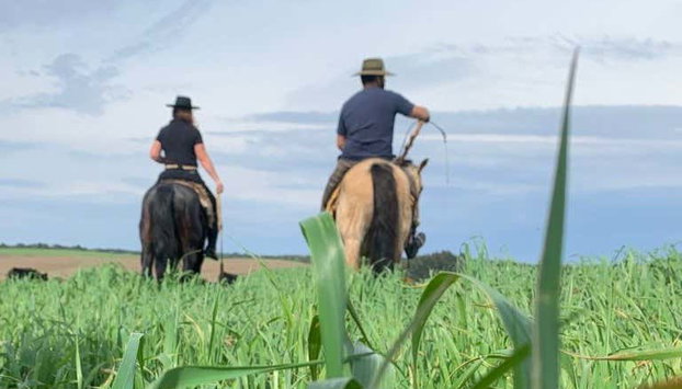Paseo a caballo por São Francisco de Paula - Foto 3