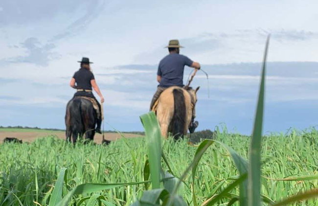 Paseo a caballo por São Francisco de Paula - Foto 3