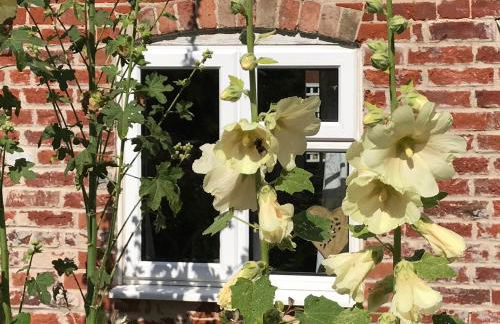 Love Heart Cottage - Foto 20