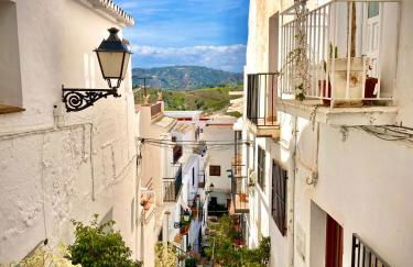 Buenos Sueños- Balcon de Frigiliana - Photo 35