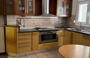 KTHMA TZHKA - Villa Elassona - Photo 38