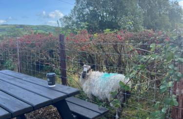 Tavnaghoney Cottages - Foto 77