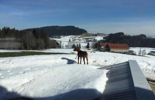 Apartment in Buchenberg mit Garten und Terrasse by Interhome - Foto 29