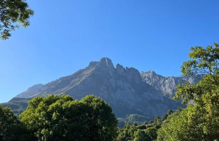 Las Casucas de Remoña - Foto 49