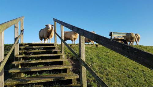 Haus am Meer - Foto 5