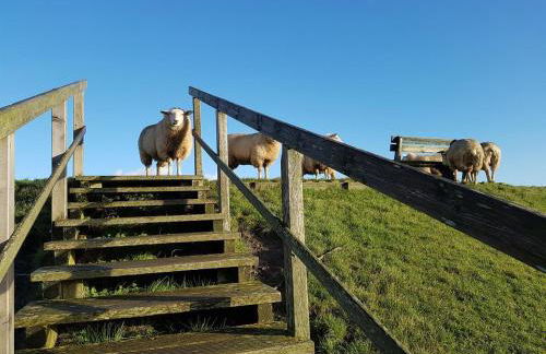 Ferienhäuser SPO - Photo 53