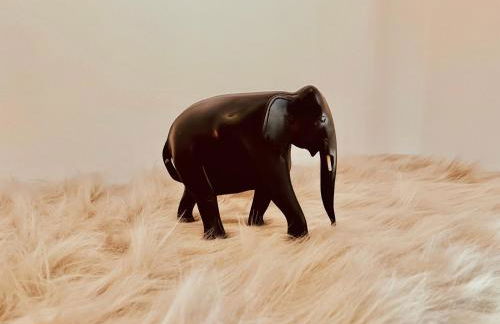 Starnberger See - Foto 13