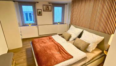 Modernes Apartment im Zentrum - Foto 3