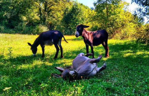 Agroturismo Mari Cruz - Foto 57