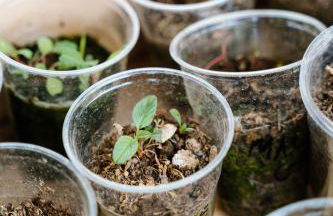 Cascina Bagaggera - Foto 46