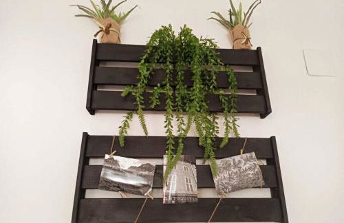 La casica de Sabi - Foto 9