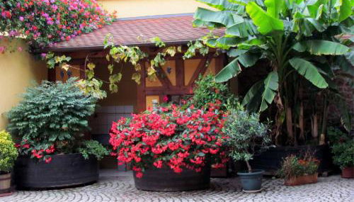 Gite Fruehmess - Foto 5