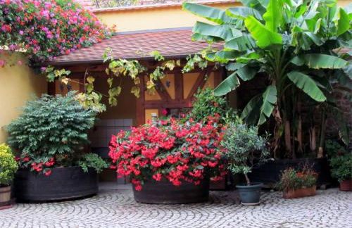 Gite Fruehmess - Foto 5