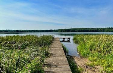 Forest Mood - Foto 66