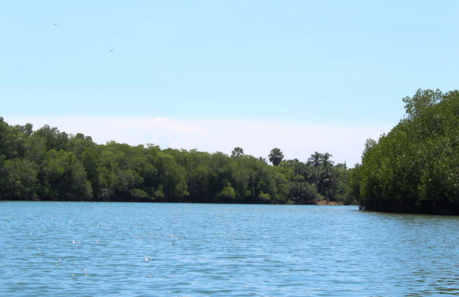 Escursione alla Laguna di Manialtepec - Foto 1
