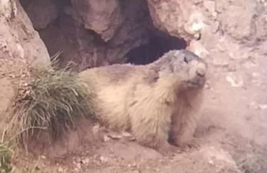 Chalet La Plagne Montalbert Pied des Pistes - Foto 50