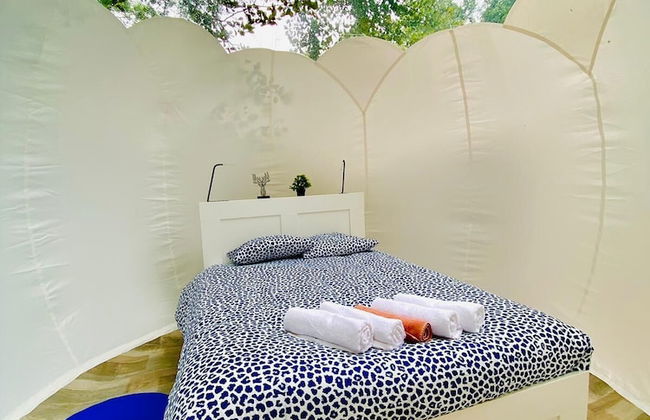 Etape en forêt - Foto 7