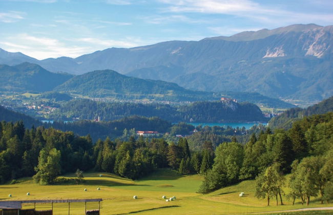 Chalet Kupljenik Near Bled Lake - Foto 33