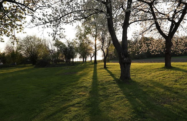 Ferienwohnung in Bissendorf - Foto 26