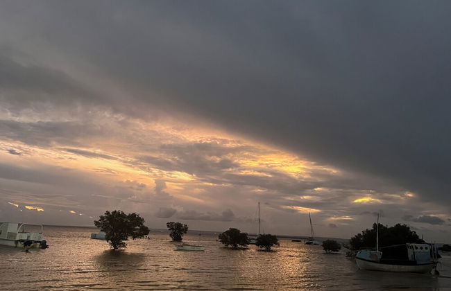 Villa Palmeira - Foto 67