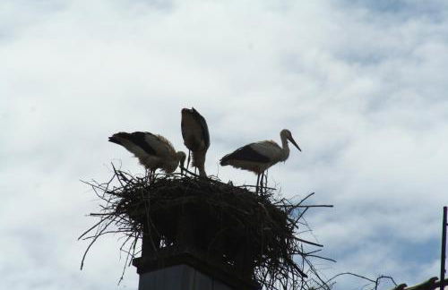 Résidence du Château Lublin - Photo 27