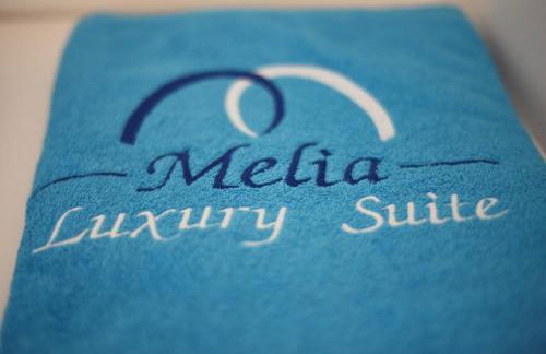 Melia Luxury Suite with pool - Photo 5