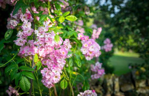 West Cottage, Southlands Farm, Gunnerton - Foto 21