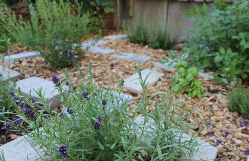 INVITA Natur-Chalets - Familienurlaub im Schwarzwald - Foto 31