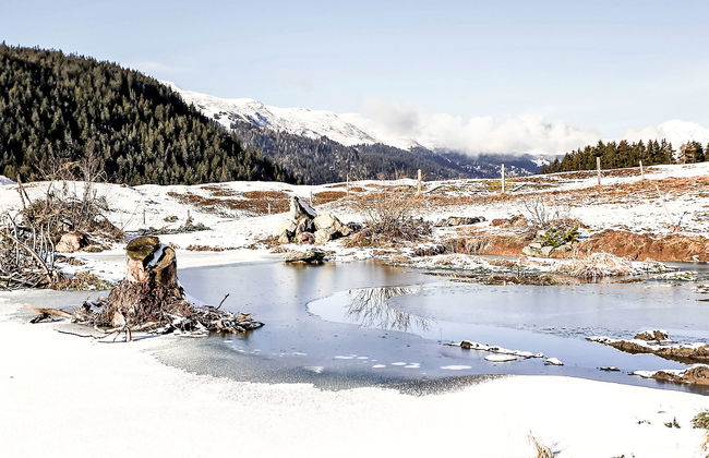 von Capeller - Foto 43