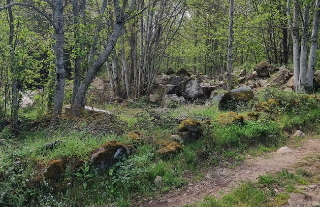 Quinta de Leandres - Foto 45