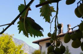 Appartment Lodged Mamma Maria - Foto 30